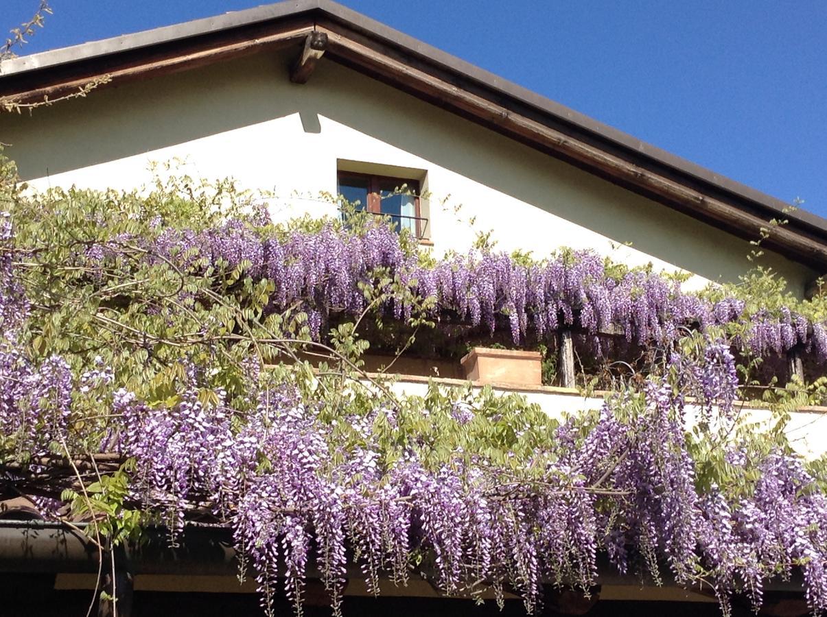 Casa Tentoni - Guest House 米萨诺阿德里亚蒂科 外观 照片
